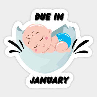 Due in January Great Gift for Family Sticker